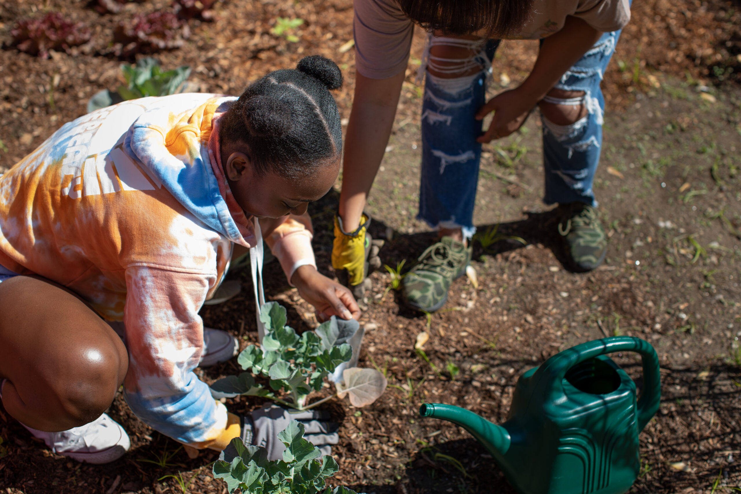 Two individuals planting vegetables in an urban garden, promoting community-based solutions to food insecurity.