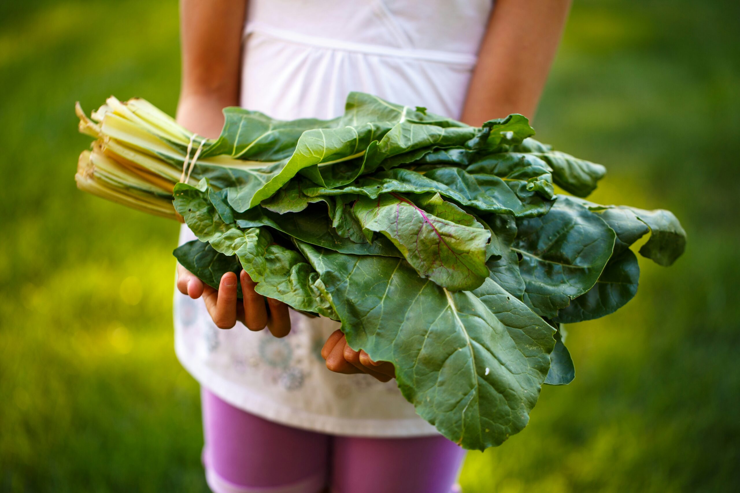 Close-up of a person holding a bunch of fresh greens, symbolizing healthy eating and local food initiatives.